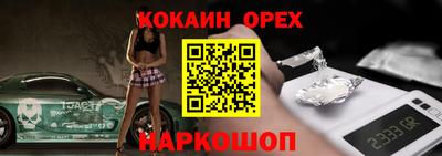 молекула духа Камышлов