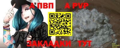 молекула духа Камышлов